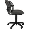 imageFellowes Office Suites Mesh Back Support 8036501Mesh