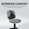 imageFellowes Professional Series Back Support Black 8037601One Size