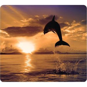 imageFellowes Recycled Optical Mousepad Blue Ocean 5903901Dolphin Jumping