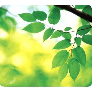 imageFellowes Recycled Optical Mousepad Blue Ocean 5903901White