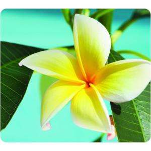 imageFellowes Recycled Optical Mousepad Blue Ocean 5903901Yellow Flower